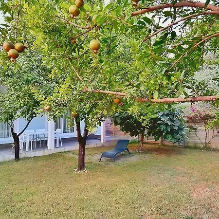 Holiday home Brand New With Garden *