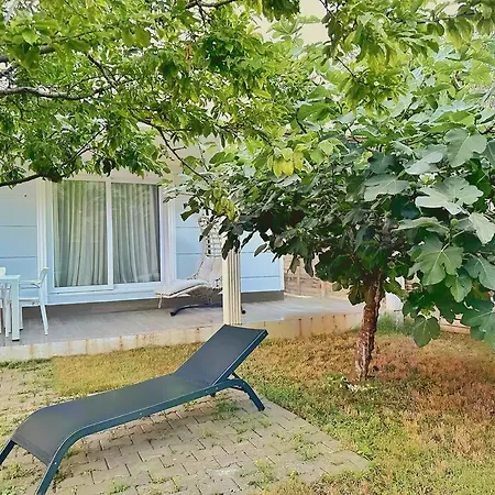 Brand New With Garden