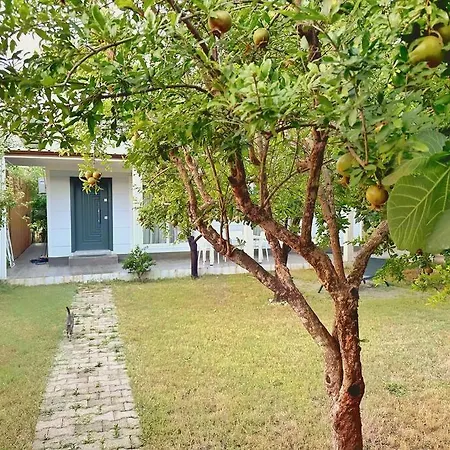 Holiday home Brand New With Garden