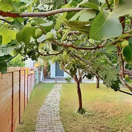 Brand New With Garden Casa vacanze *
